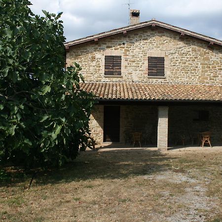 Villa Agriturismo Colle Del Sole San Martino in Colle  Exterior foto